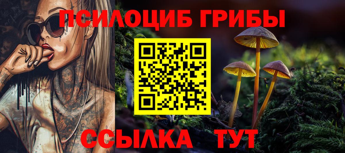 Галлюциногенные грибы Psilocybine cubensis Нижнекамск