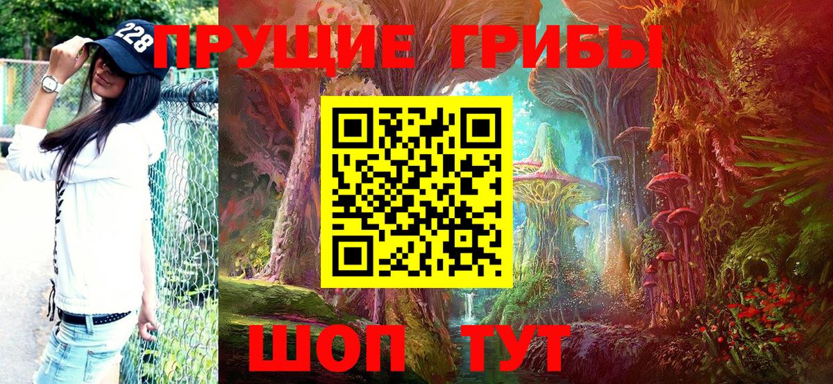 Галлюциногенные грибы GOLDEN TEACHER  Вход с VPN  Нижнекамск 